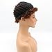 ALICE Afro Wig 4