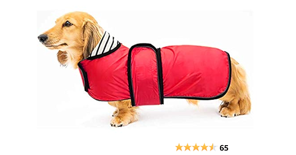 daschund raincoat