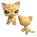 SmileFly 1pc Pet Shop LPS Toys Action Figure Toys Cartoon Animal Cat Dog Figures Collection for Kids Gift