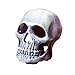 Penn Plax Deco Replicas Human Skull Aquarium Décorthumb 2