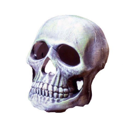 Penn Plax Deco Replicas Human Skull Aquarium Décor