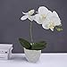 LIVILAN White Silk Artificial Orchids Arrangements with Ceramic vase for Decoration Fake Flowers for Table Centerpiece Home Decor Office Wedding Party Vivid Lifelike