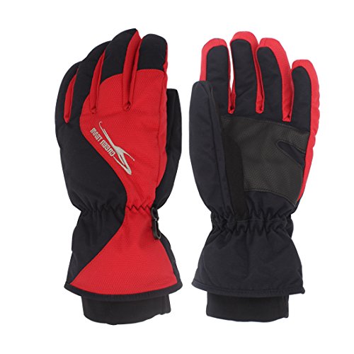 SHARBAY Winter Gloves Warm Waterproof Windproof Glove Biking Gloves Cold Weather Ski Snowboard Gloves for Men Women (Rose, L)