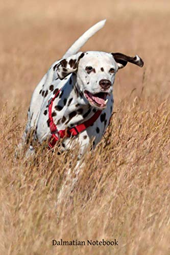Dalmatian Notebook: Dalmatian notebook blank pages - Journal to write in - 120 pages - 6"x9"