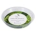 The Blooming Jungle 9 Inch Plant Saucer - Pack of 5 - Plant Trays for Indoors with No Holes - Protect Floors and Furniture