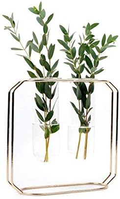 Hydroponic Vase Home Décor - Vase for Flowers & Planter Decorations Container - Luxury Gold Metal Frame, Glass Test Tube, Great for Any Plant or Faux Plants (Medium)