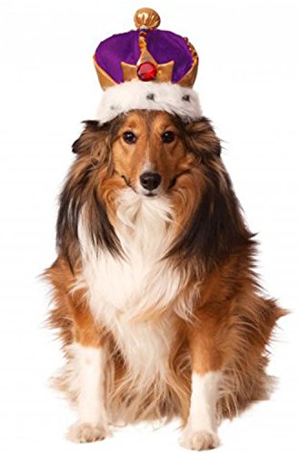 Rubies Costume Company Mardi Gras King's Crown for Pets