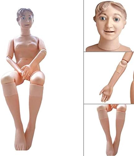 HLMXSD 160CM Life Size,Multifunctional Nursing Training Manikin Model Mannequin Patient, Medical Training Teaching & Education Supplies (Female)