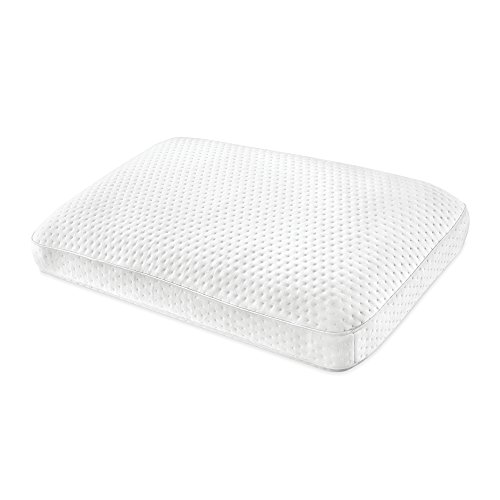 Sensorpedic Luxury Molded Memory Foam Pillow Standard Buy