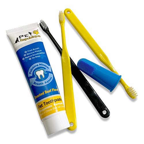 Pet Republique Enzymatic Dog Toothpaste Kit with Handle Toothbrushes Cats and Dogs Dental Cleaning Kit - 3.5 oz Beef Flavor Toothpaste, 3 Mini Handle Toothbrushes, 1 Silicon Finger Toothbrush