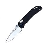 Firebird Folding Knife F753M1 by Ganzo Pocket Folding Hunting Knife G-10 Handle SS Blade (Black)