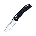 Firebird Folding Knife F753M1 by Ganzo Pocket Folding Hunting Knife G-10 Handle SS Blade (Black) primary