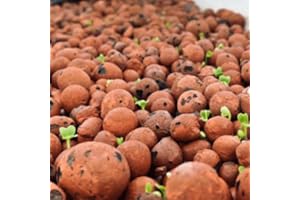 J PLUS T Hydroton Hydroclay Premium Hydroponics Clay Pellets (2.5L) Substrate for Soil Aeration, Aquaponics & Decoration - 10