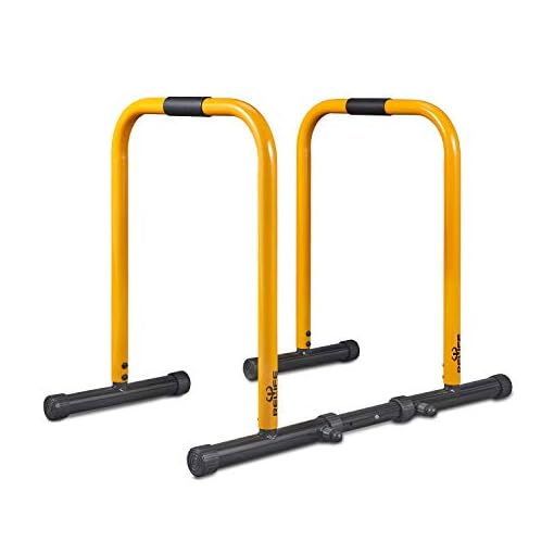 RELIFE REBUILD YOUR LIFE Dip Station Functional Heavy Duty Dip Stands Fitness Workout Dip bar Station Stabilizer…