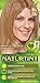Naturtint 8G Sandy Golden Blonde Permanent Hair Color (Pack of 6), Ammonia Free, Vegan, Cruelty Free, up to 100% Gray Coverage, Long Lasting Results (Packaging may vary)