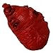 NOVELTY GIANT WWW.NOVELTYGIANT.COM Life Size Foam Heart Gory Halloween Prop
