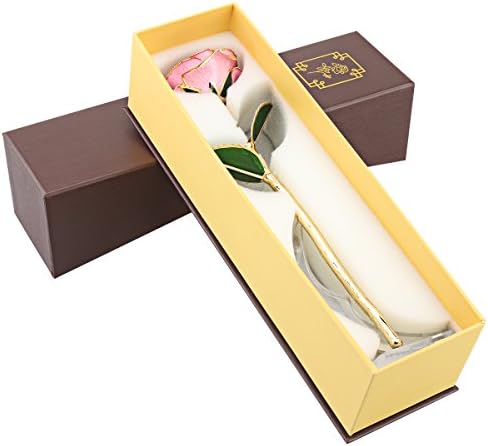TTOBS Dipped 24K Gold Rose with Gift Box is Good Gift on Valentine's Day Mother's Day Lover's Birthday Anniversary (Pink)