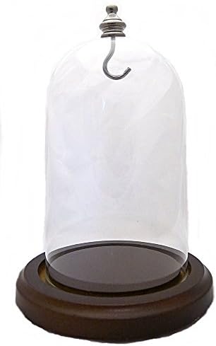 Standard 3"x5" Pocket Watch Glass Display Dome Walnut Base &amp; Silver hook