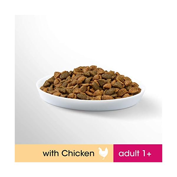 Perfect-Fit-Adult-1-Complete-Dry-Food-for-Adult-Cats-from-1-Year-Old-Rich-in-Chicken-1-pack-of-7kg Perfect Fit Adult 1+ - Complete dry food for adult cats, rich in chicken, suitable for adult cats aged 1+, (1 x 7 kg)