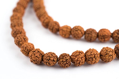 6mm Rudraksha Mala Beads - 108 Authentic Nepali Prayer Rosary Beads - The Bead Chest