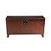 Southern Enterprises Pyramid Storage Trunk Cocktail Table, Espresso Finish