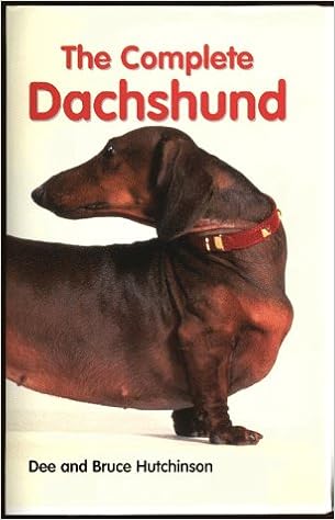 amazon dachshund