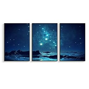 NWT Framed Canvas Wall Art for Living Room,...