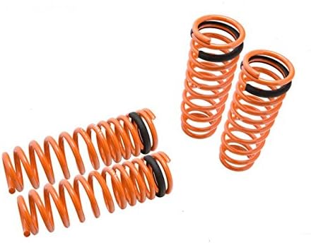 Racingbees 1992 - 2000 Honda CIVIC LX DX EX SI EG EK Lowering Springs (4 Pcs)FocalRacing