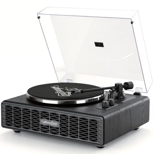 Annesburg Vinyl Record Player