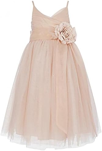 Dzdress Lovely Tulle Wedding Party Flower Girl Dresses with Bow Sash 6 Champagne