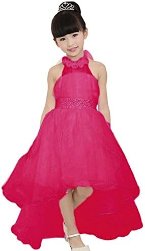 Baby Girl Dress Daoroka Kids Lace Flower Halter Sleeveless Princess Birthday Evening Party Pageant Ball Gown Elegant Tutu Skirts Clothes Cute Summer Formal Casual Sundress (9-10T/150, Hot Pink)