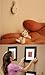 SinLoon（24 - Pack) Non-Trace Wall Picture Hook Frame Wedding Photos Mirror Wall Studs White, Large