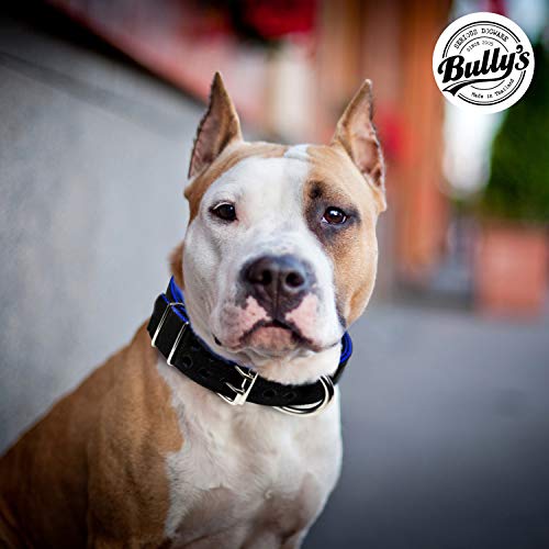 Pitbull Collar, Dog Collar for Large Dogs, Heavy Duty Nylon, Stainless Steel Hardware (Large-1.2 Inches Wide, Black with Red Trim) - Thumbnail 3