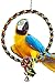 Bonka Bird Toys 1046 Huge 17 INCH Rope Ring Bird Toy Parrot cage Toys Cages Cockatoo Macawthumb 4
