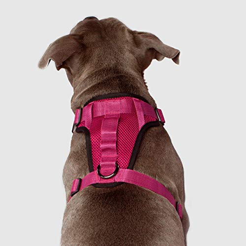 canada pooch no pull harness