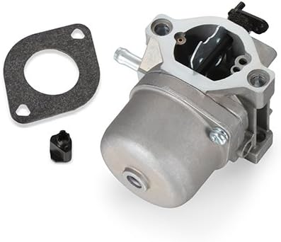 Dromedary Carburetor Carb For Briggs Stratton 799728 498027 498231 499161