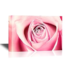 Floral Canvas Wall Art - Single Rose Closeup - Gallery Wrap Modern Home Art | Ready to Hang - 12x18 inches