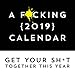 A F*cking 2019 Calendar: Get Your Sh*t Together This Year - Includes Stickers!