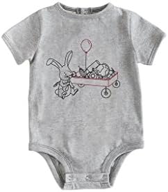 Dry Baby Infant and Toddler Grey Short Sleeved Water, Stain, Odor Repellent Bodysuit (9 Month, Little Red Wagon) …