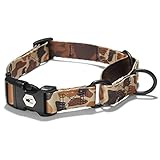 Wolfgang Man & Beast Premium USA Webbing Puppy Dog