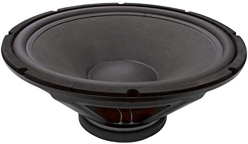 q one speaker 18 inch 1000 watt price