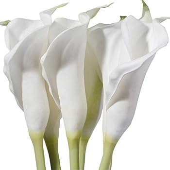 M&A Decor'' Large Calla Lily Bulbs 20 PCS White Natural Look Artificial Lillies Flowers with Long Stem for Wedding Party Tall Vase Table Centerpiece Decoration