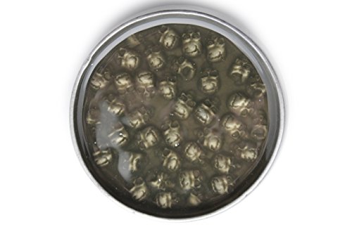 TFJ Men Gothic Belt Buckle Punk Fashion Silver Metal Mini Skulls Skeletons Taupe