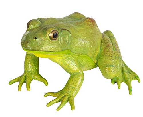 Safari Ltd  Incredible Creatures American Bullfrog