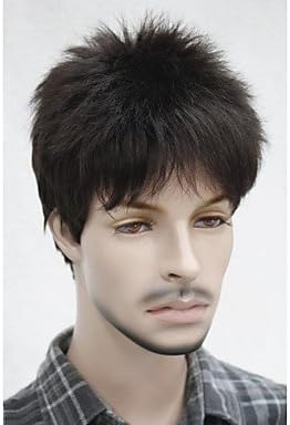 HJL-Stylish Synthetic Black Brown Short Full Bang Short Shaggy Natural Wavy Capless Men's Wig , dark brown