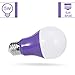 JandCase A19 Purple Light Bulbs, Halloween Purple Light Bulbs, 9W(60W Incandescent Equivalent), Halloween Color Light Bulb with E26 Medium Base, Living Room, Porch, Home Lighting, 2 Pack