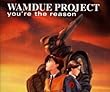 You're the Reason