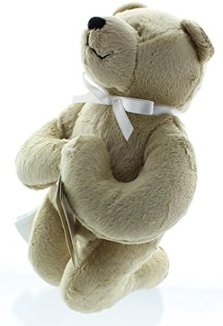 Holy Bears, Teddy Bear, 8" Approx Stuffed Animal, Brown Praying Bear.