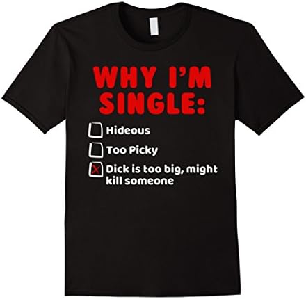 Mens Why I'm Single: Hideous, Too Picky, Dick Is Too Big T Shirts Large Black