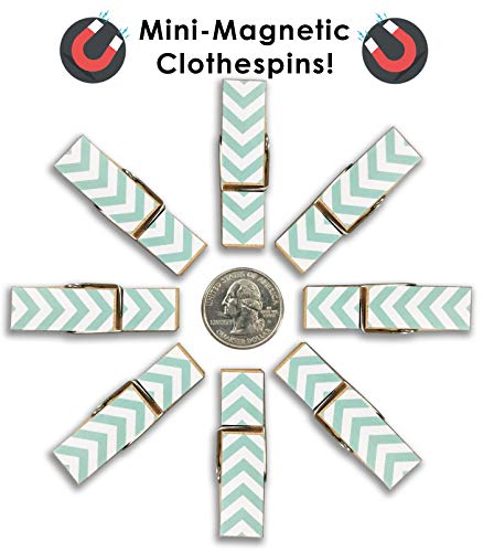 Loddie Doddie 8 Count Clothes Pin Magnets | Chevron- Teal. Perfect for Office Decor and Classrooms